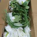 [100]Pcs Realistic Artificial flowers White Roses Bulk, Silk Flowers for wedding decorations & Home Decor, Bridal Bouquets & Centerpieces, Perfect for Halloween & Valentine's Day Decorations (100)