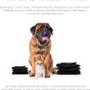 Pet Parents Washable Belly Bands for Male Dogs (3pack) + Extendrs of Durable Dog Diapers Male, Premium Male Dog Diapers & Dog Wraps (Medium, Black)