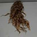 Clip on Ponytails for Women - 18 Inch Curly Ponytail Extension, Wavy Pony Tails Hair Extensions, Synthetic Hair Extensions Ponytail, Clip in Ponytail (Color: Light Brown with Blonde Ends)