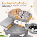 Heybly Tall Cat Tree for Large Cat, 80-inch Multi-Level Cat Tower HCT038W