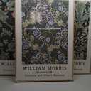 Large Framed William Morris Green Wall Art, 3 Piece Vintage Floral Canvas Prints, Retro Botanical Wall Decor for Living Room Bedroom Hallway Office, 24x36 Inch