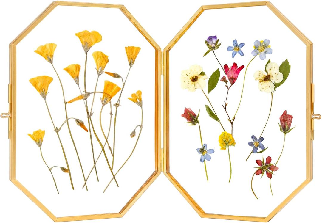 REDHUGO Double Glass Picture Frame Handmade, Glass Pressed Flower Frame, Hinged Tabletop Brass Photo Frames, Dried Flower Display Folding Frame for Home, Octagon, Gold, 57 Inches, 2 Packs