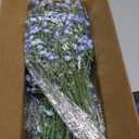 Babys Breath Artificial Flowers,12 Pcs Gypsophila Real Touch Flowers for Wedding Party Home Garden Decoration Blue
