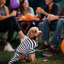 Dog Halloween Costume Sandworm Costume for Dogs Pet Halloween Snake Cosplay Black White Stripes Dog Funny Costumes for Party Medium Large Small Dogs(Medium)