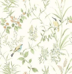 NuWallpaper Sage Songbird Peel and Stick Wallpaper, Sage Botanical Songbird Removable Contact Paper for Walls, Self Adhesive Wall Covering for Bedroom Living Room Accent Wall