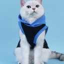 QWINEE Mom Boy Dog Hooded Tank Tops Letter Print Cat Puppy Hoodie Vest Sleeveless Pullover Dog Shirt Stretchy Pet Clothes for Small Medium Large Cats Dogs Kitten Blue XXS
