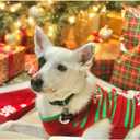 NACOCO Dog Snow Sweater - Snowman Holiday Xmas Christmas Pet Clothes for Small Dog and Cat (Snowman, S) (Small (Pack of 1), 1-Red Snowman)