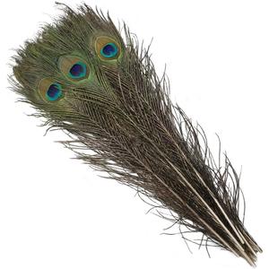 20pcs Long Natural Peacock Feathers 16-18 Inch for Tall Vases Home Decor Centerpieces Decorations Christmas Tree Ornament Crafts