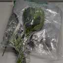 120 Pcs Artificial Eucalyptus Stems, 4 Kinds Mixed Faux Greenery Stems Fake Silver Dollar Eucalyptus Leaves Bundle for DIY Bouquets Centerpiece Spring Floral Arrangement Wreath Home Wedding Decor