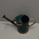 SunnyTong Metal Watering Can for Outdoor and Indoor Plants, Watering Can Decor, 1 Gallon (1 Gallon Green2)