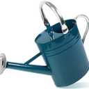 Megawodar 1 Gallon Metal Watering Can with Removable Spout, Nice Galvanized Steel Water Can with Embossed Design for Indoor and Outdoor Plants (Ocean Blue)