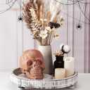 Halloween Terracotta Color Plastic Skull 5.9 Inch Life Size Human Skeleton Head Model for Halloween Indoor Outdoor Decor Party Centerpiece