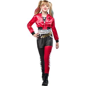 Rubies DC Comics Villains: Harley Quinn Costume for Kids (Small)