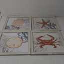 Ava Barrett Framed Coastal 16" x 16" Coral Prints, 4-pc Wall Art Set, Multicolor