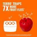 Terro Fruit Fly Traps for Indoors (6 Pack) + 270 Days of Lure Supply