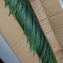 5ft Artificial Palm Tree Indoor Plant Tall Fake Tropical Paradise Palm Tree in Pot with Real Bark Design Faux Areca Palm Tree for Home Office Living Room Bedroom Farmhouse Modern Decor 1pcs