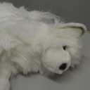 Douglas Phoebe Pomsky Dog Plush Stuffed Animal