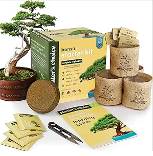 Bonsai Starter Kit  Gardening Easter Gift for Women & Men  Bonsai Tree Growing Garden Crafts Hobby Kits for Adults, Unique DIY Hobbies for Plant Lovers  Unusual Christmas Gifts Ideas