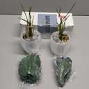 Set of 2 Artificial Monstera Deliciosa Plants in Pots, Fake Tropical Palm Tree with Greenery Leaves Stems,Artificial Cheese Plant for Home Bathroom, Office, Windowsill Decor