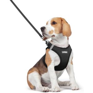 rabbitgoo Dog Harness Small Medium Sized and Leash Set, Step in Soft Light Puppy Vest, Breathable Mesh Pet Harness, Reflective for Safe Easy Walking, Black L