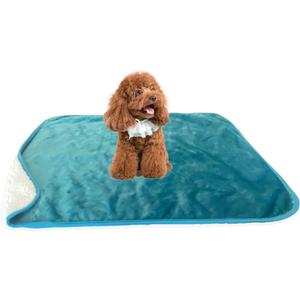 Bucephalus Waterproof Dog Blanket - Thick Reversible Sherpa Fleece Pet Blanket for Couch Bed Sofa Protector, Pee Resistant Washable Soft Blanket for Dogs Puppy Cats Puppies (25x35 Inches, Teal)
