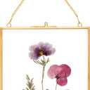 REDHUGO Glass Pressed Flower Frames,Vintage Hanging Picture Frames with Chain,Handmade Brass Floating Picture Frame,Plant Specimen Wall Ornament Display Artwork DIY Family Photo,Square,Gold, 6x6 Inches
