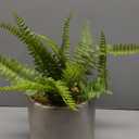 HD Designs Fern Greenery Artificial Plant 13"