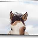 Giant Art Canvas 36x24 Eyes Up Framed in Pink