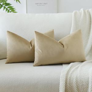 OTOSTAR Pack of 2 Velvet Soft Solid Decorative Throw Pillow Covers 16 x 24 Inch Pillow Covers Lumbar Cushion Case Couch Pillowcases for Sofa Bed Home Decor (Khaki)