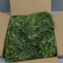 6FT Lush Christmas Cedar Garland Real Touch Artificial Realistic Soft and Thickness Greenery Faux Cedar Pine Garland for Home Fireplace Table Indoor Outdoor Holiday Christmas Decoration