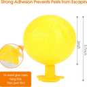 Original Fruit Fly Trap Ball with Light, 6pcs Hanging Fungus Gnat Killer Catcher, Adhesive Sticky Glue Catching Ball Fly Gnat Wasp Hornet Bugs Flying Insects Trap Ball for Indoor Outdoor Plant