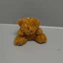 Mini Bear Plush Stuffed 4 Inch Small Bear Bulk Animal Toy (1 Pack)