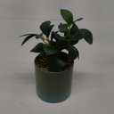10.2 inch Succulent In Ceramic Pot