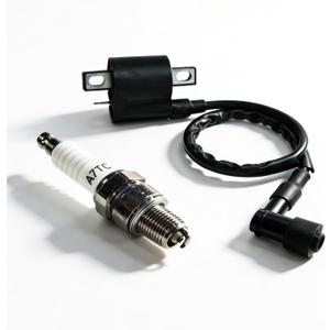 2 PCS Racing Ignition Coil with Spark Plug, High Performance Upgrade Kit for CG125 50-250CC Vertical Engine, Compatible with ATV Dirt Bike Go Kart Motorcycle (Black)