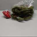 6 Pcs Small Christmas Norfolk Wreaths 15 Inch Christmas Kitchen Cabinet Mini Wreath Real Touch with Bow Ribbon Cedar Red Berry for Xmas Front Door Window Chair Fireplace Table Pillar Farmhouse Decor