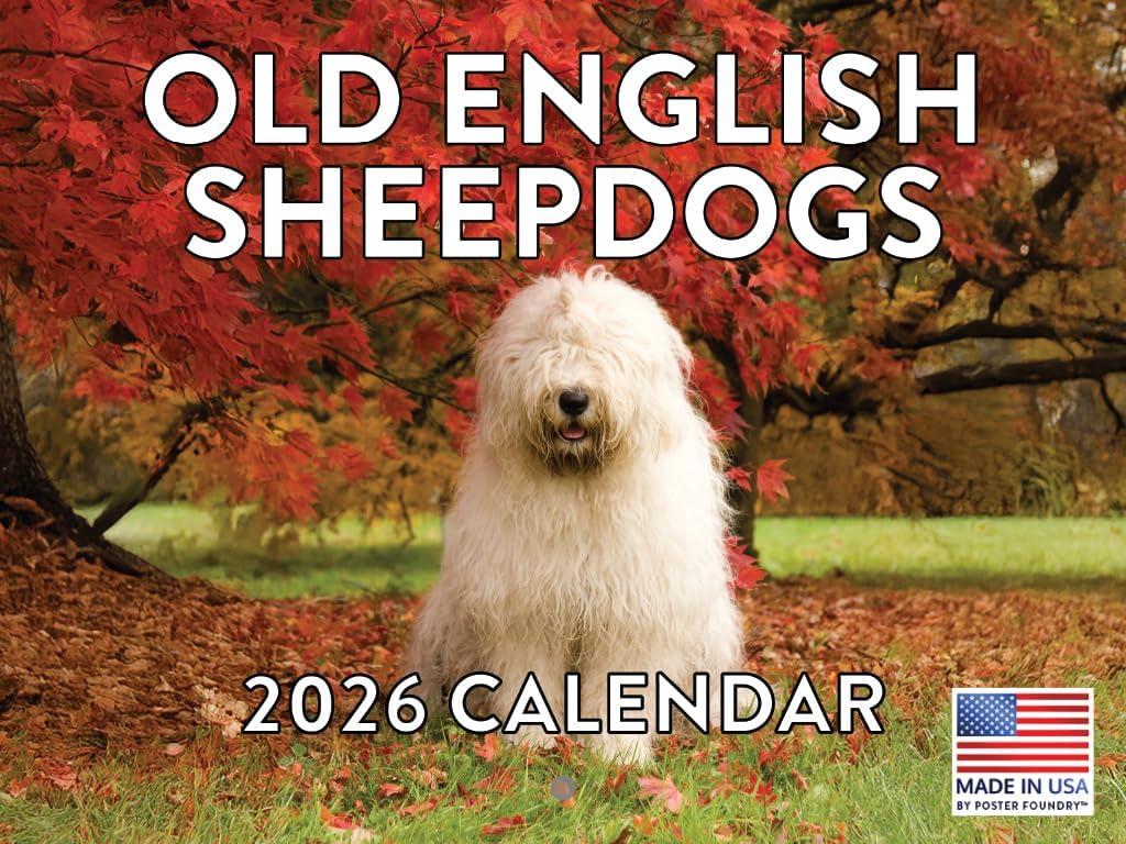 Old English Sheepdog Calendar 2026 Monthly Wall Calender 12 Month | American Made In The USA