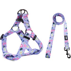 QQPETS Dog Harness Leash Set Adjustable Heavy Duty No Pull Halter Harnesses for Small Medium Large Breed Dogs Back Clip Anti-Twist Perfect for Walking (XS(12"-18" Chest Girth), Floral Purple)