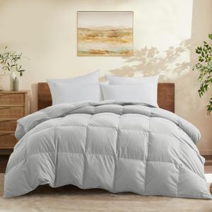 Joysoul Queen Size (88"x 88") Down Comforter - All Season Ultra Soft Goose Down & Feather Fiber Fill, Luxury Hotel Light Gray Duvet Insert with Corner Tabs (88" X 88")