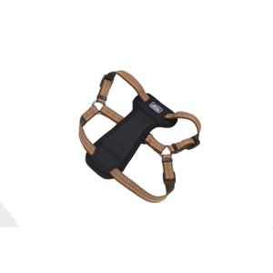 Coastal Pet K9 Explorer Reflective Adjustable Padded Dog Harness - Plush Chest Pad for Comfort - No-Pull Dog Harness for Small and Large Dogs - Campfire Orange - 1" x 20"-30", Medium