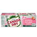 2 x Canada Dry Fruit Splash Strawberry Ginger Ale Zero Sugar Soda, 12 fl oz cans, 12 pack