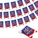 2 x 250 Anniversary USA Bunting Banner Decorations, 4th of July USA 1776-2026 Patriotic Pennant Flag Garland Indoor Outdoor Party String Banner for Independence Day American 250 Year Flag Decor