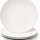 FOBENTA Stoneware Dinner Plates,Embossment Ceramic Dish Set for 4,4 Piece Ease of Cleaning Dish Ses,Dishware Safe Scratch Resistance Dishes