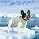 KOOLTAIL Dog Cooling Vest, Sun Protection Easy on off Cooling Pet Shirt Harness with Zipper & Leash Ring, Breathable Summer Quick Dry Clothes, Relief in Hot Weather for Dogs, Grey L