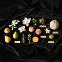 BGK Car Air Freshener, Long Lasting Fragrance for Auto and Home Car, Odor Eliminator, Eliminate odors at the sourceSelf-Forgetting