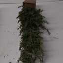 Nearly Natural 3ft. Alpine Natural Look Artificial Christmas Tree in Wood Planter with Pine Cones