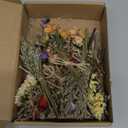 12/24 PCS Charming Dried Flowers Bouquet for Vase Various Dried Wildflowers with Stems Mini Handmade Wildflowers Natural Real Flowers Bulk Flowers Craft (Forget Me Not, 12 PCS)