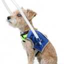 LetPetRun Adjustable Blind Dog Halo, Protective AntiCollision Ring Harness for Visually Impaired Pets, Safe Guidance Mobility Aid (Light Blue XS for 15.518.5)