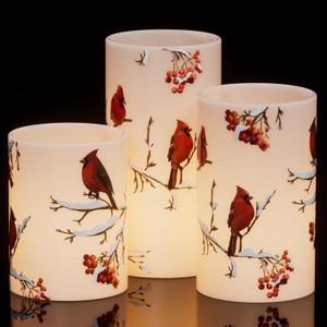 GenSwin Red Bird Flameless Candles with Timer, LED Candles with 3D Wick, Real Wax Pillar Candles for Halloween Christmas Indoor Decorations(D3 x H456)