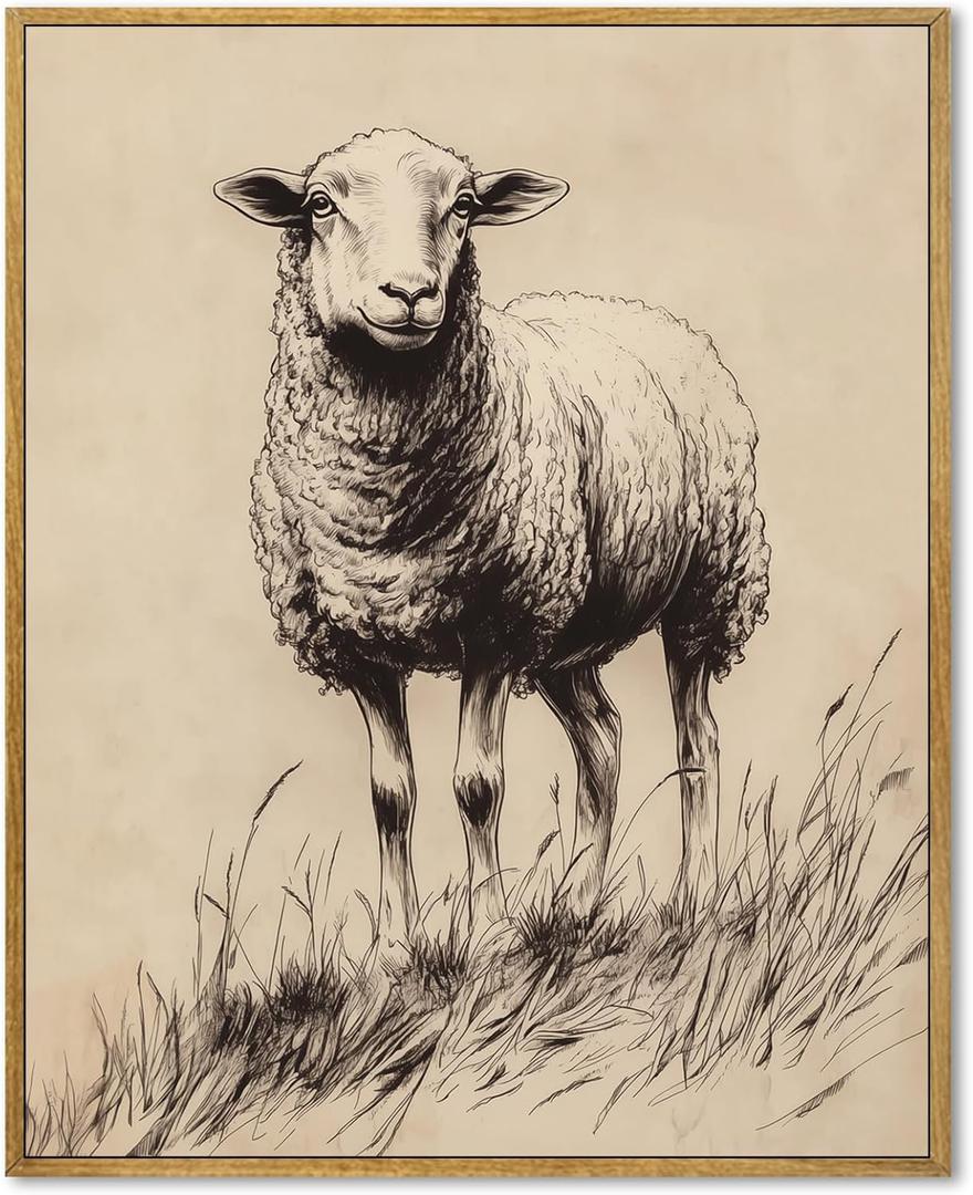 Vintage Sheep Wall Art Antique Animal Prints Country French Picture Animal Sketch Wall Art Cute Sheep Retro Posters Farm Animals Pictures Vintage Rustic Painting Classical Lamb Artwork 8x10inch Framed