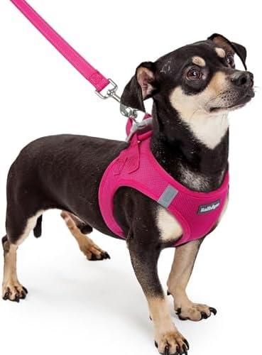 rabbitgoo Dog Harness Small Sized and Leash Set, Step in Soft Light Puppy Vest, Breathable Mesh Pet Harness, Reflective for Safe Easy Walking, Rosa Red XXXS